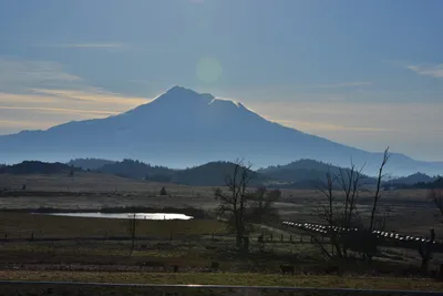 DSC_6026 (Large).JPG